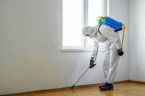 Best Fumigation Services  in Clay City, IN